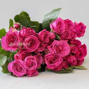 Роза кустовая Сплендид Иришка | Splendid Irishka Spray Rose 