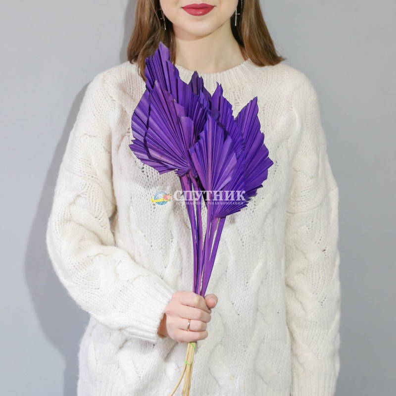 Купить копье фиолетовое в СПб ✿ Оптовая цветочная компания СПУТНИК