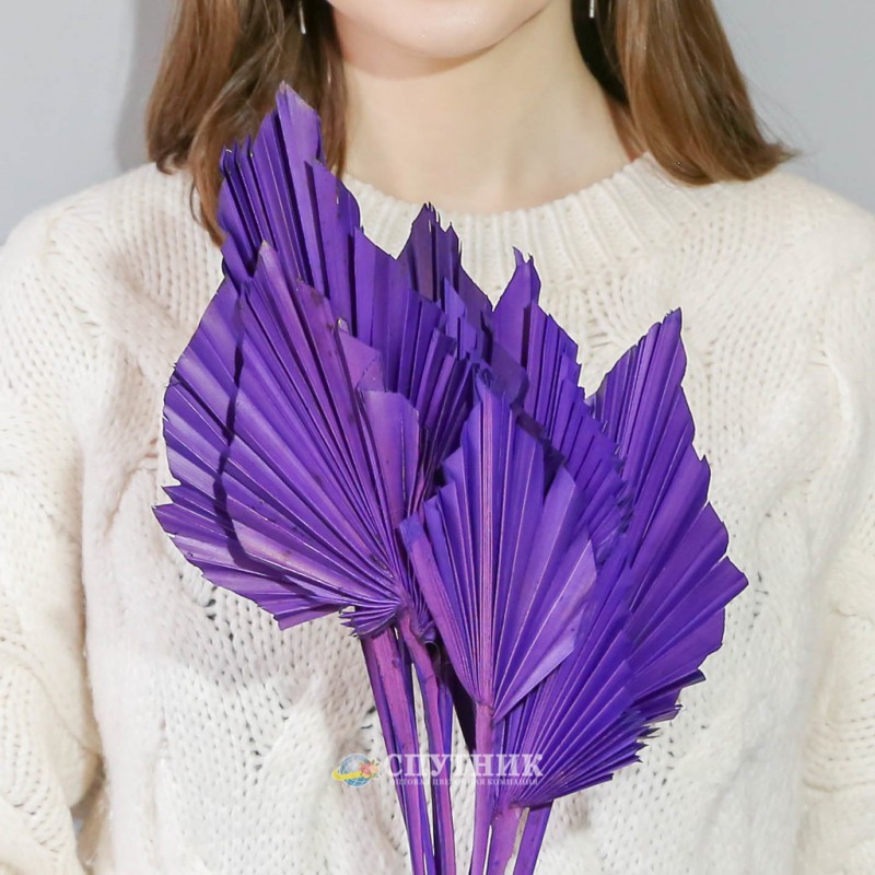 Купить копье фиолетовое в СПб ✿ Оптовая цветочная компания СПУТНИК