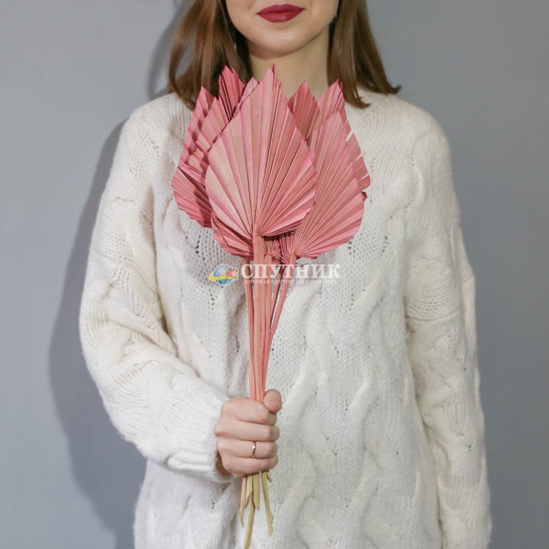 Купить копье розовое в СПб ✿ Оптовая цветочная компания СПУТНИК