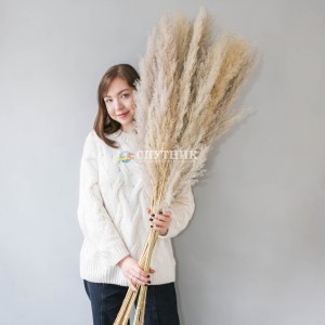 Пампасная трава (кортадерия) натуральная 120 см