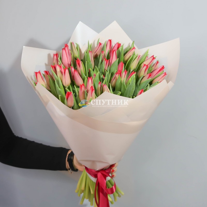 Купить букеты красных тюльпанов оптом в СПб