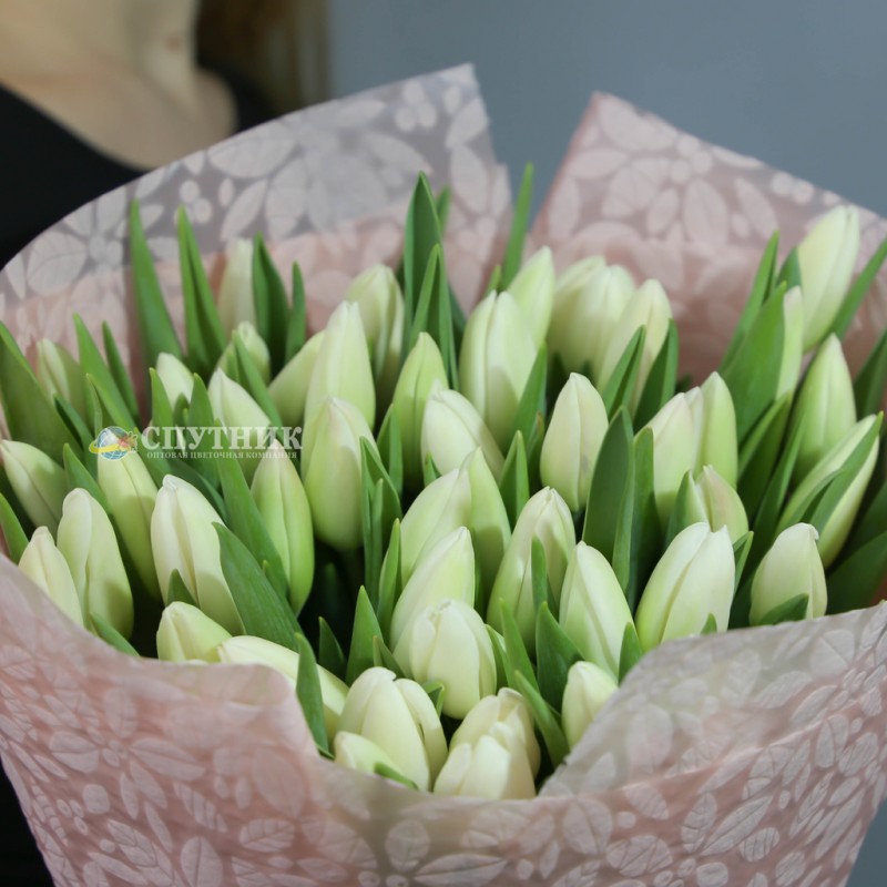 Купить букет белых тюльпанов недорого в СПб 