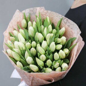Букет тюльпаны белые 50 шт / 3'800 руб