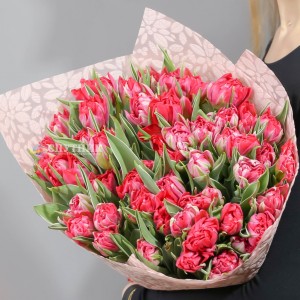Букет тюльпаны красные махровые 50 шт / 6'000 руб