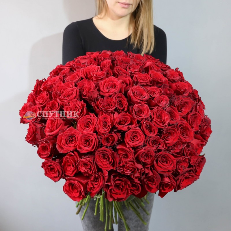 Купить 101 красную розу, огромный букет красных роз недорого в СПб