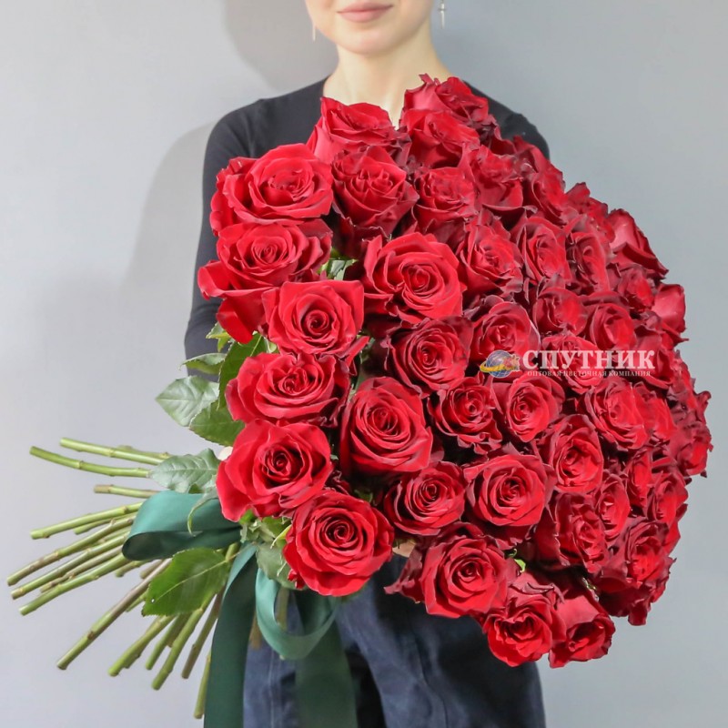 Роза эксплорер, букет 51 роза купить в СПб по лучшим ценам