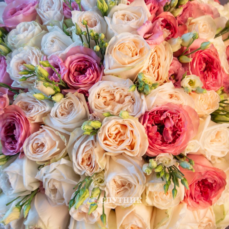 букет роз, букет из розовых и белых роз