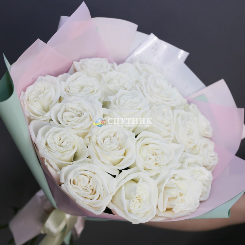 Розы Плайя Бланка, букет белых роз купить в СПб 