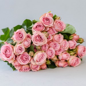 Роза кустовая Пинк Иришка | Pink Irishka Spray Rose 