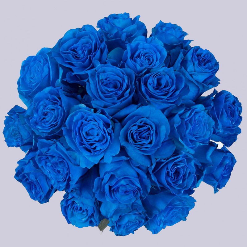 Купить синие розы оптом в СПб