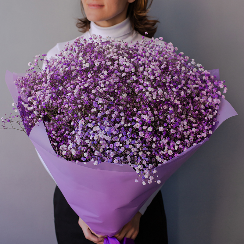 Гипсофила фиолетовая, гипсофила сиреневая на сайте оптовой цветочной компании СПУТНИК