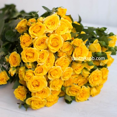 Кустовая роза Yellow Baby