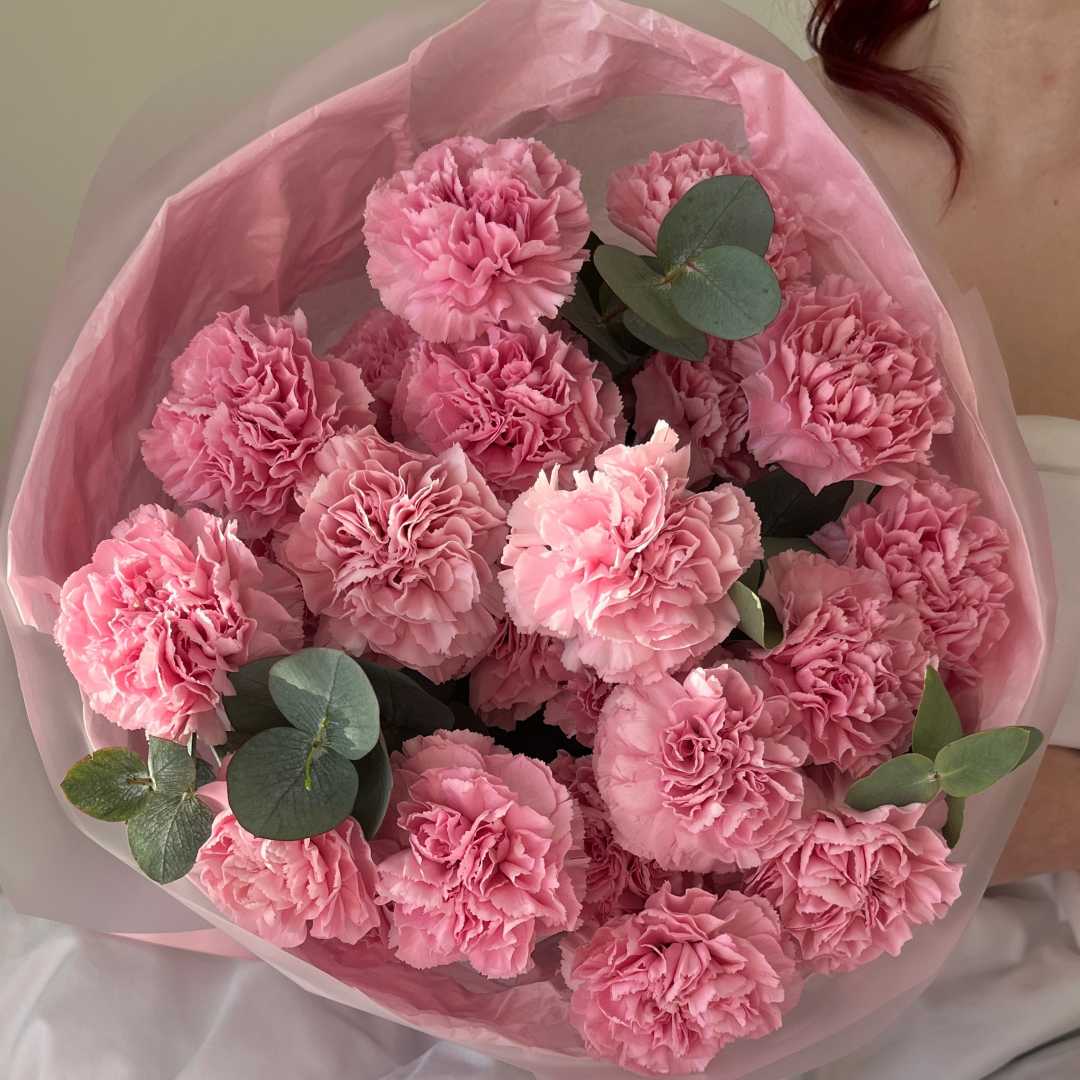 Диантусы soft pink - "Спутник"