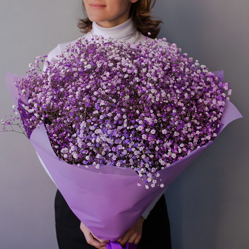 Гипсофила лавандовая | Gypsophila Lavender