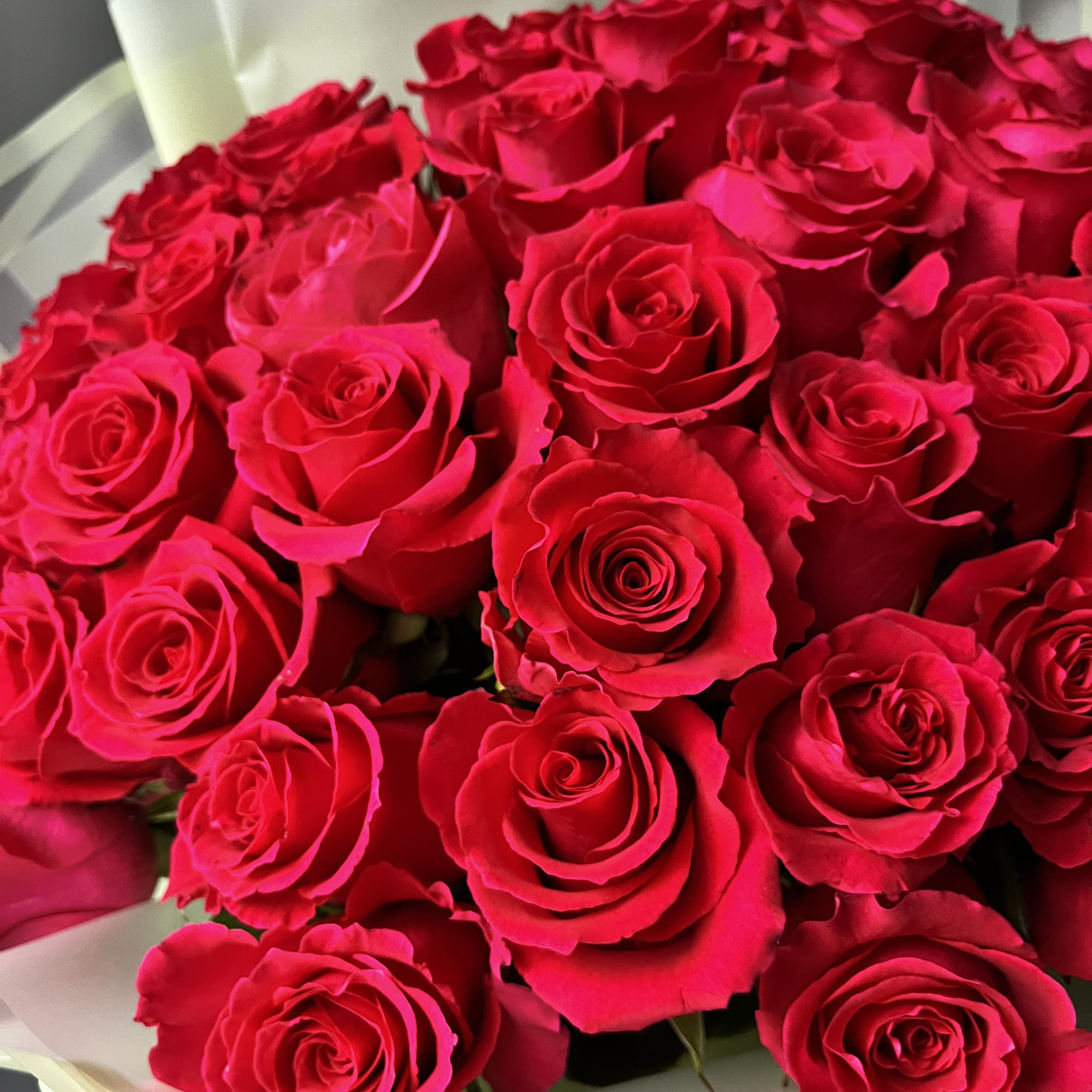 Моно Гоча fifty roses - "Спутник"