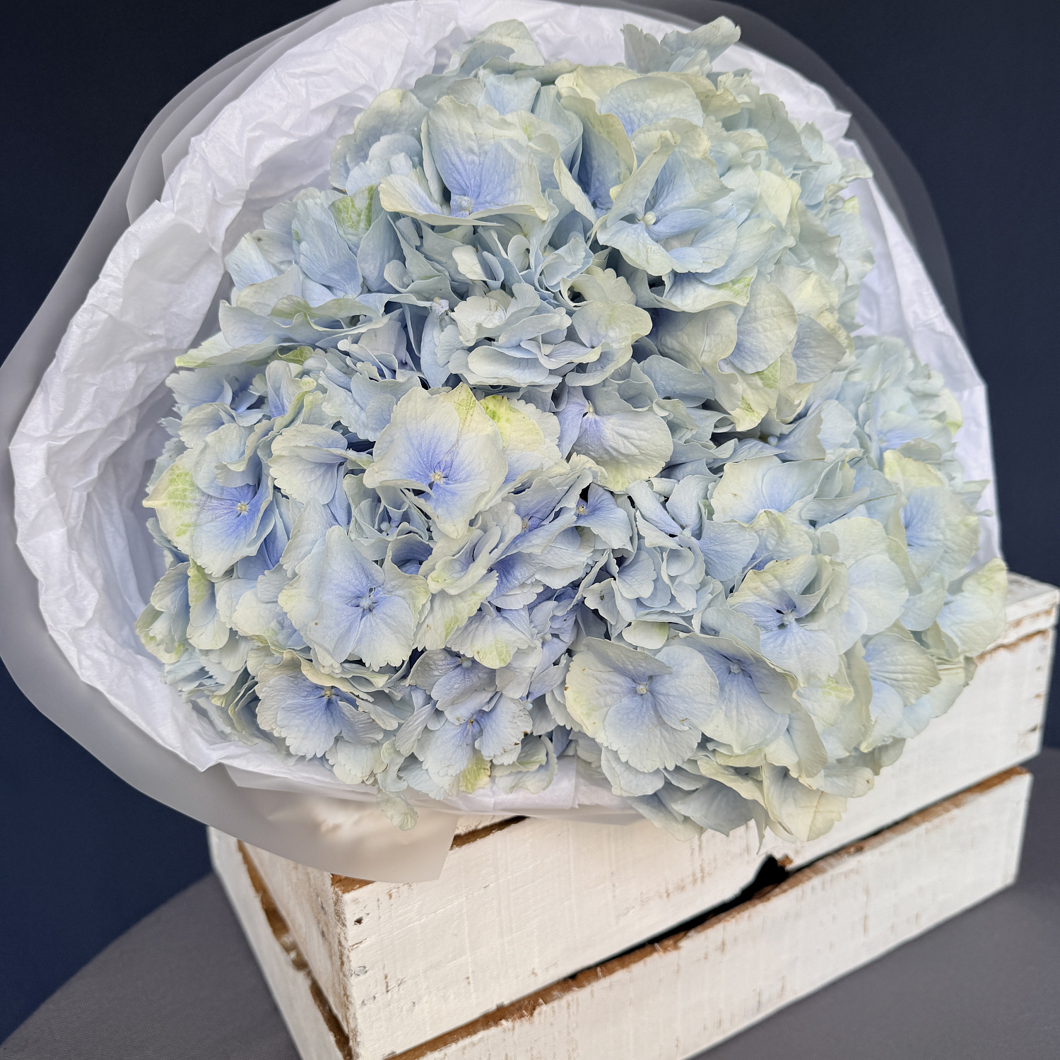 Моно гортензии blue